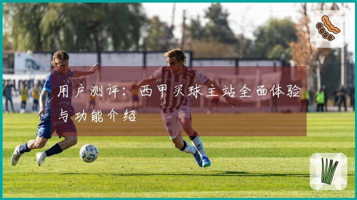 用户测评：西甲买球主站全面体验与功能介绍