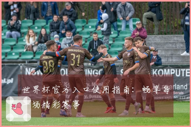 世界杯官方入口使用指南：畅享每一场精彩赛事